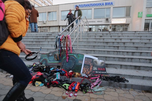 Снимка: Димитър Кьосемарлиев, Dnes.bg